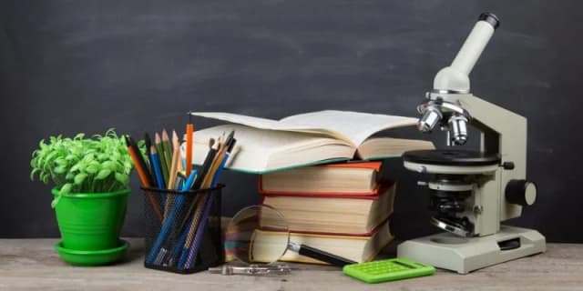 Qué es la educación según autores: definiciones que sorprenden y comparan